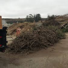Yard Debris Removal in Dallas project 2