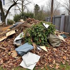 Yard Debris Removal in Dallas project 3
